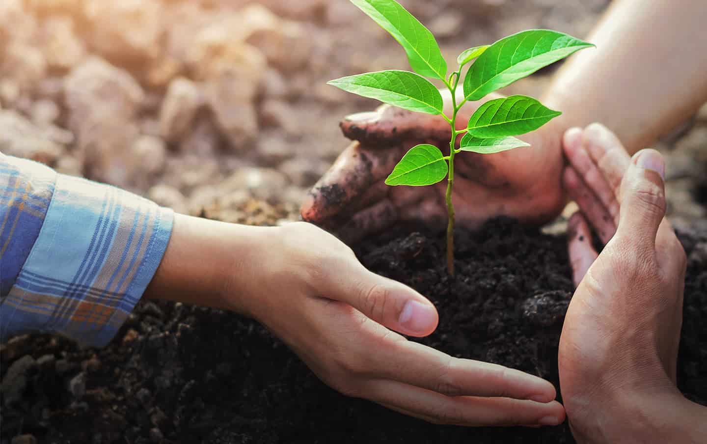 Partners in Giving Hope